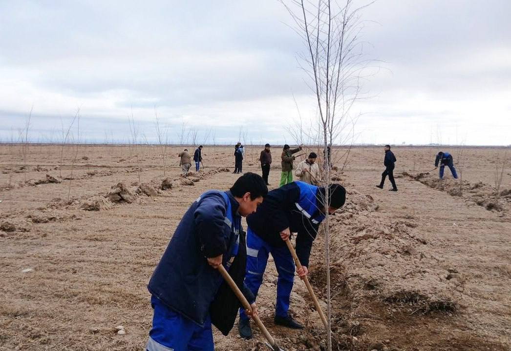 Yashil makon — Navoiyda yashil kelajak sari amaliy qadamlar